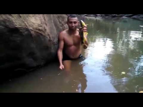 Vídeo: Como Pescar Com As Mãos