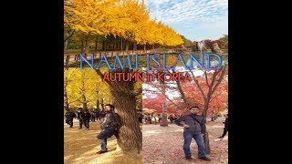 NAMI ISLAND | AUTUMN IN KOREA