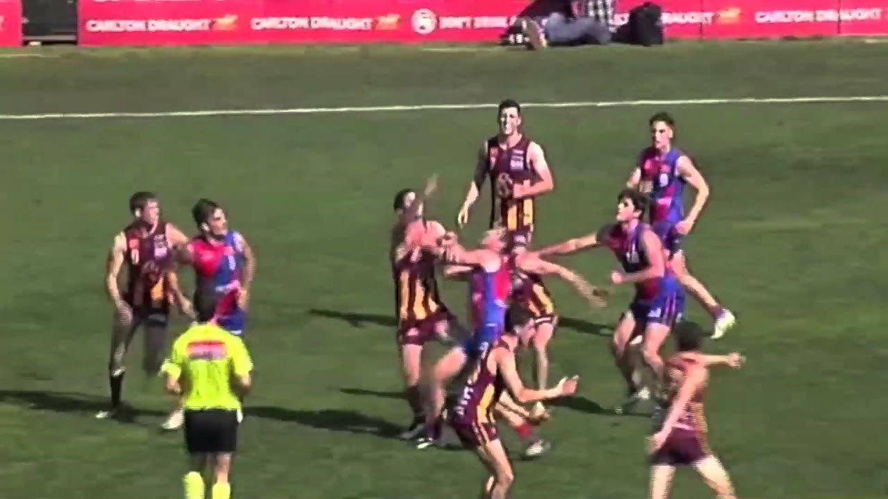 Sam Menegola: 2015 Highlights