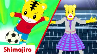 I love Football | Soccer special episode | Shimajiro cartoons for kids
