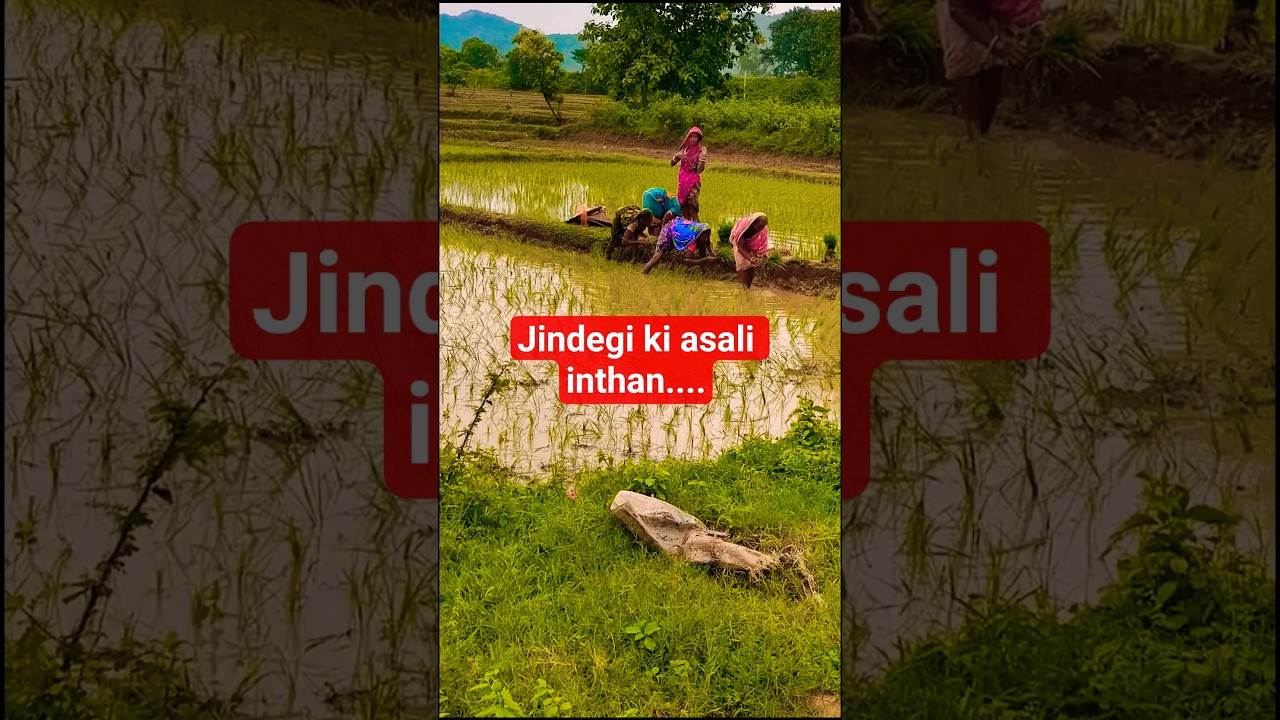 jindegi ki asali inthan... #motivation #ytshorts #trending