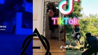 Therian and Quadrobics TikToks || Complaction  || Alterhumans of TikTok #2