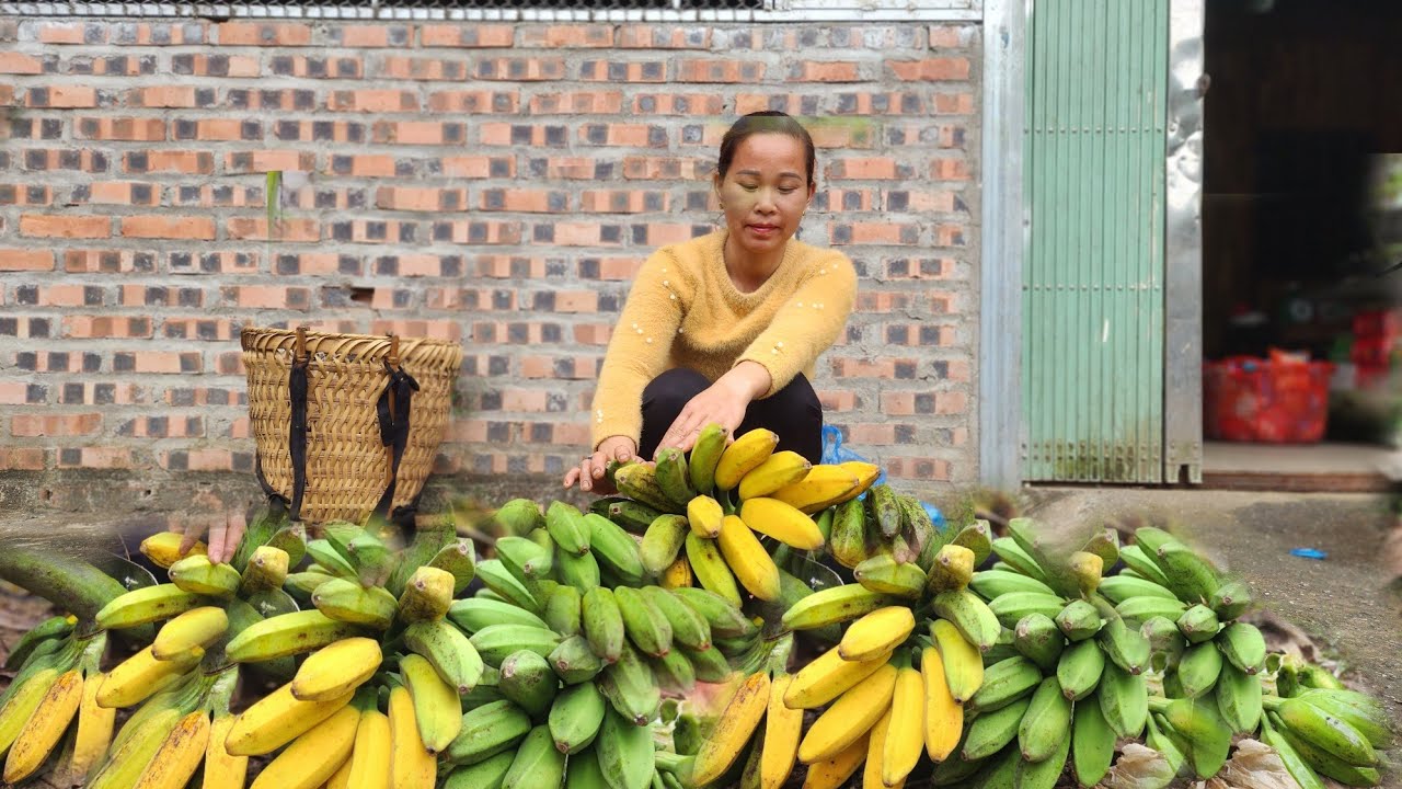 harvest bananas to sell at market Lý Thị sa - YouTube