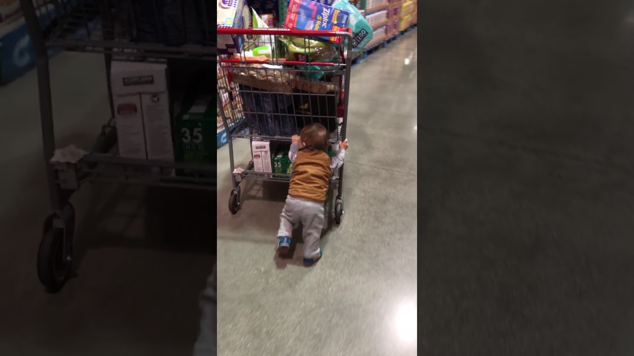 baby pushing shopping cart