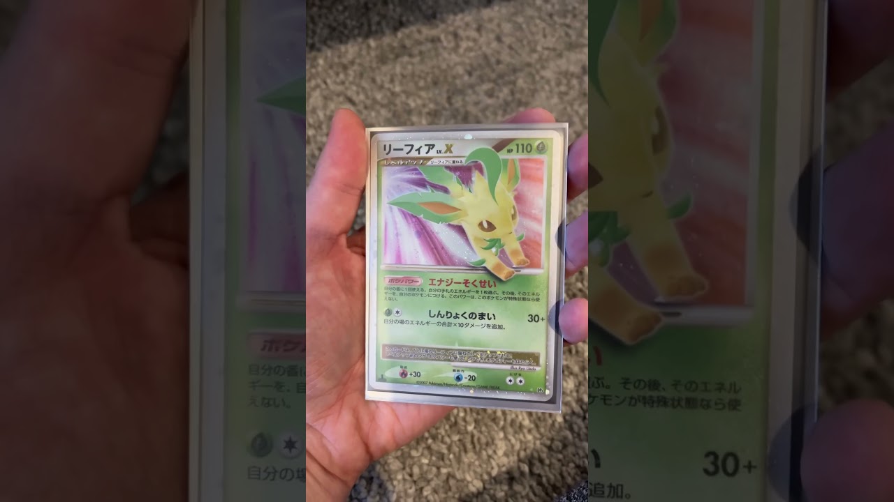 I bought every Leafeon card ever made 😳