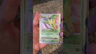 I bought every Leafeon card ever made 😳