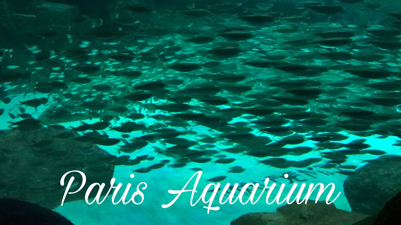 AQUARIUM PARIS