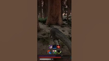 Path of Titans | Allosaurus vs Pycno #pathoftitans #seguidores#dinosaur#gaming#viralvideo