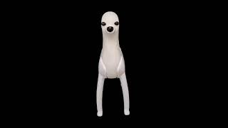 Grooming Model Dog ---Poodle Clip Mannequin