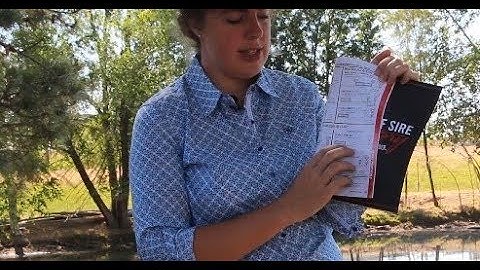 Word in the Herd: Synchronization Protocols