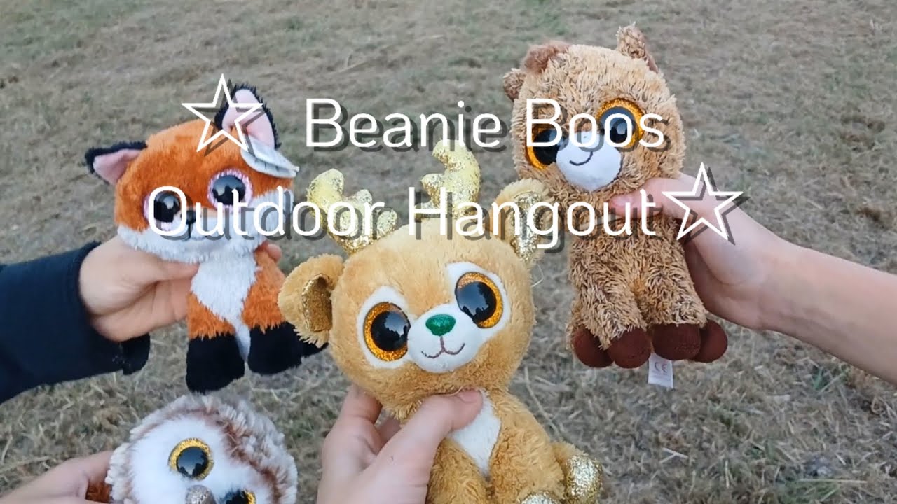 ☆ Beanie Boo Outdoor Hangout | Garden Field | Beanie Boo Gang ☆