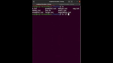 Linux/Ubuntu Tricks 💡 #83 #shorts - ls not pattern( How to exclude some files/folders in ls command)