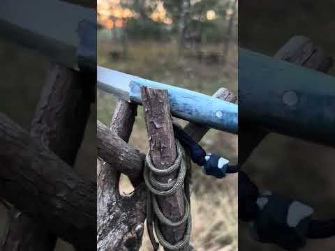 LTWK Pronghorn Glamour Shots!