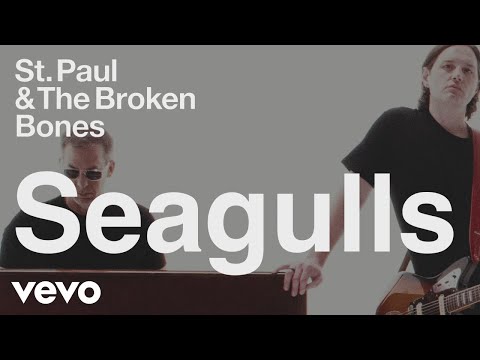 St. Paul & The Broken Bones - Seagulls (Visualizer)