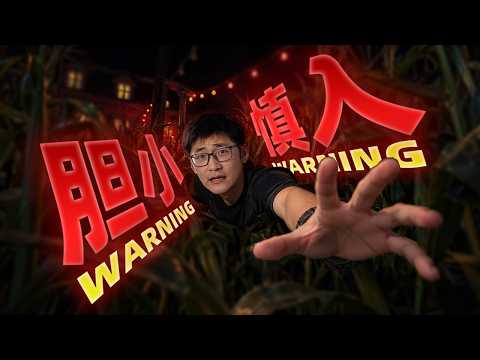 让百万人尖叫的鬼屋？我们发现了这里的秘密……