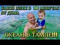 ПЛЯЖ В З0 МИНУТАХ ОТ ДОМА...... ПЛЯЖ В ТАМПЕ ФЛОРИДА США ! Мы попали в шторм! ПАВЕЛ ВАЙС