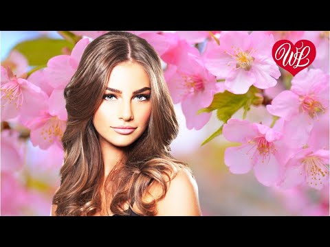 Вишня В Саду Хиты Шансона Для Танцпола Wlv Песня Зажигалка Russische Musik Russian Music Hits