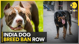 India: Karnataka High Court quashes centre's circular on banning of dog breeds | WION News