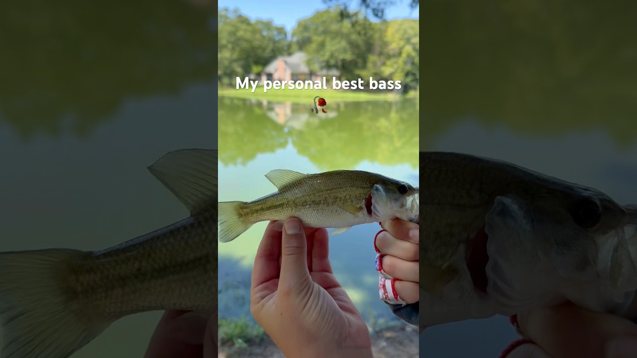 My Personal best bass! 💀 