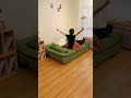 背凭れ全倒しローソファベッド 🛋️🌀床から生まれる、ふかふかマットレス#tiaro #sofabed #home #ティアロ #sofa