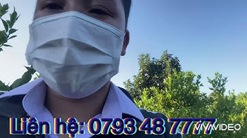 Đất vườn cây ăn trái tại thôn9 xã tâm thắng, cưJút , Đắk nông