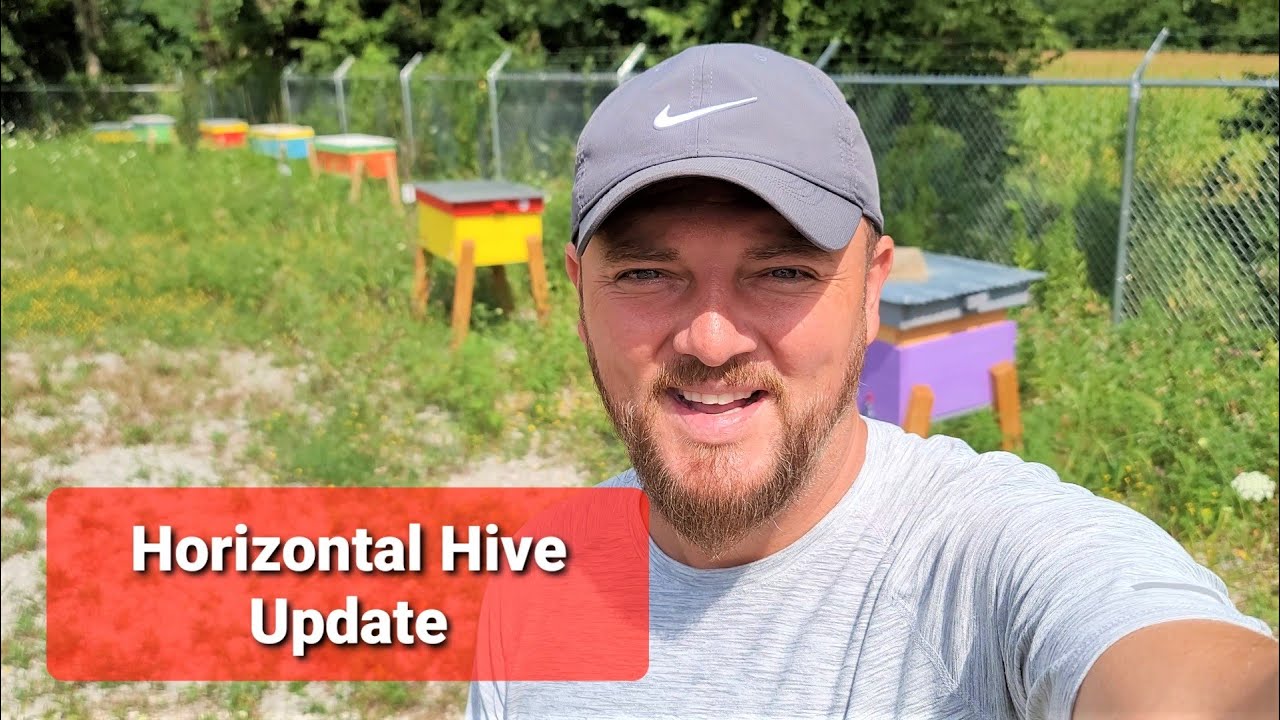 Long Hive Inspection (UPDATE)
