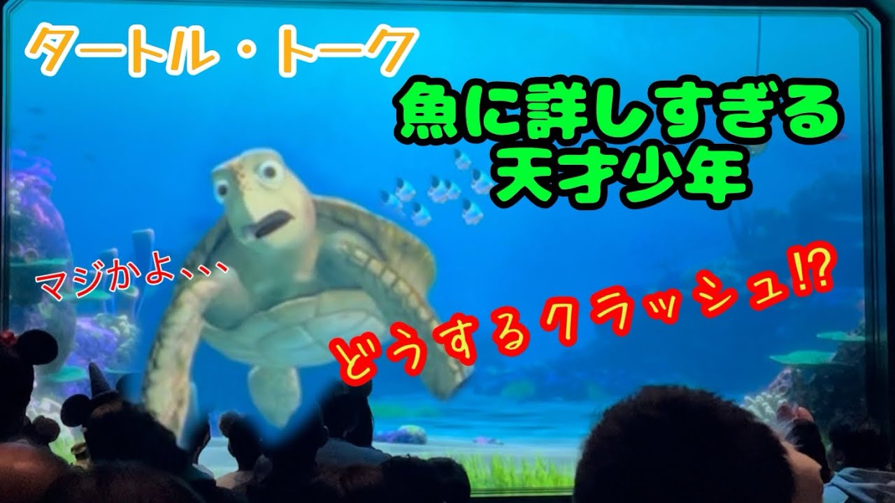 【タートル・トーク】魚に詳しすぎる天才少年の質問にクラッシュはどう答えるのか⁉︎#ディズニーシー #タートルトーク 