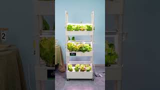 No subscriptions. No pods. Just seeds, fresh growth, and food I actually get to eat later.