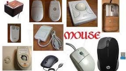 दुनिया का सबसे पहला Computer Mouse  | World First Computer Mouse | Fact | #shorts |#youtubeshorts