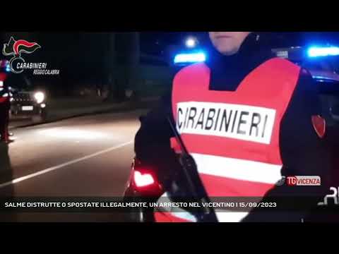 SALME DISTRUTTE O SPOSTATE ILLEGALMENTE, UN ARRESTO NEL VICENTINO | 15/09/2023