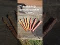 zebrawood and red cedar pens finished