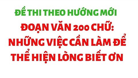 Viết đoạn văn nói về lòng biết ơn năm 2024