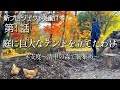 第1話　高齢の両親を喜ばせたい！【物置き小屋を森のコテージへ大改造】清里の森で凄い人に会いました