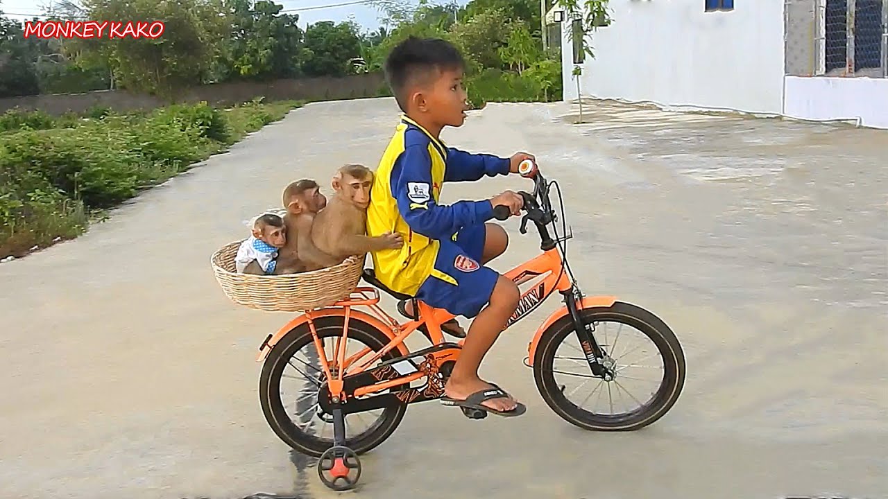 Brother Kako With Two Sister Luna And Tiny Nina Hugging Sit In Basket Ride Bicycle