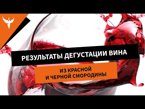 Результаты дегустации вина из красной и черной смородины