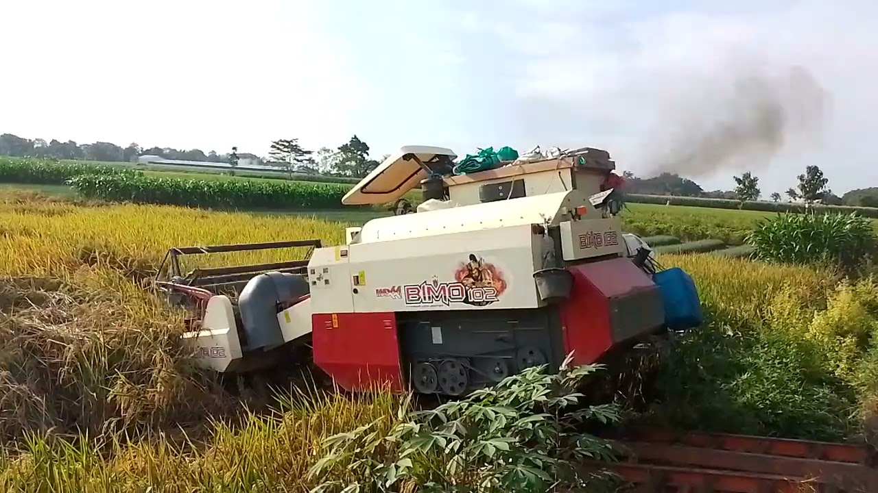 #combine #combet #petanimilenial #petanimuda #maxxi #bimo #pemula #subscriber