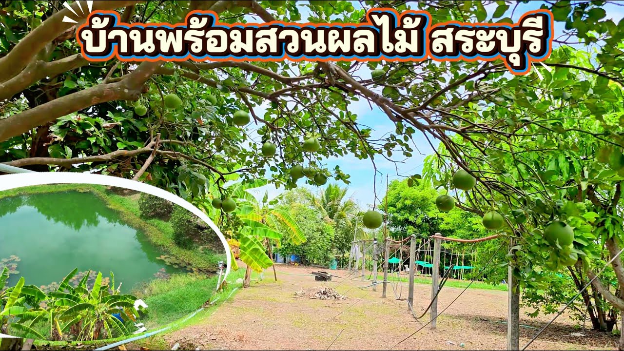 บ้านพร้อมสวนผลไม้ผสม มีน้ำใช้ตลอดปี ติดถนนดำ 6-1-69ไร่ สระบุรี 6.5ล ใก้ลวัดตะโกหลวงพ่อรวย 7 กิโล