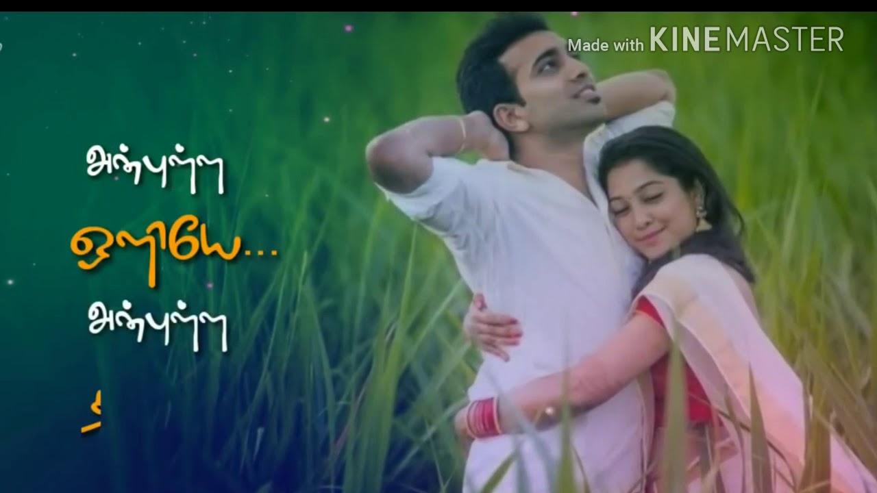 WhatsApp status tamil love video song 💜 YouTube