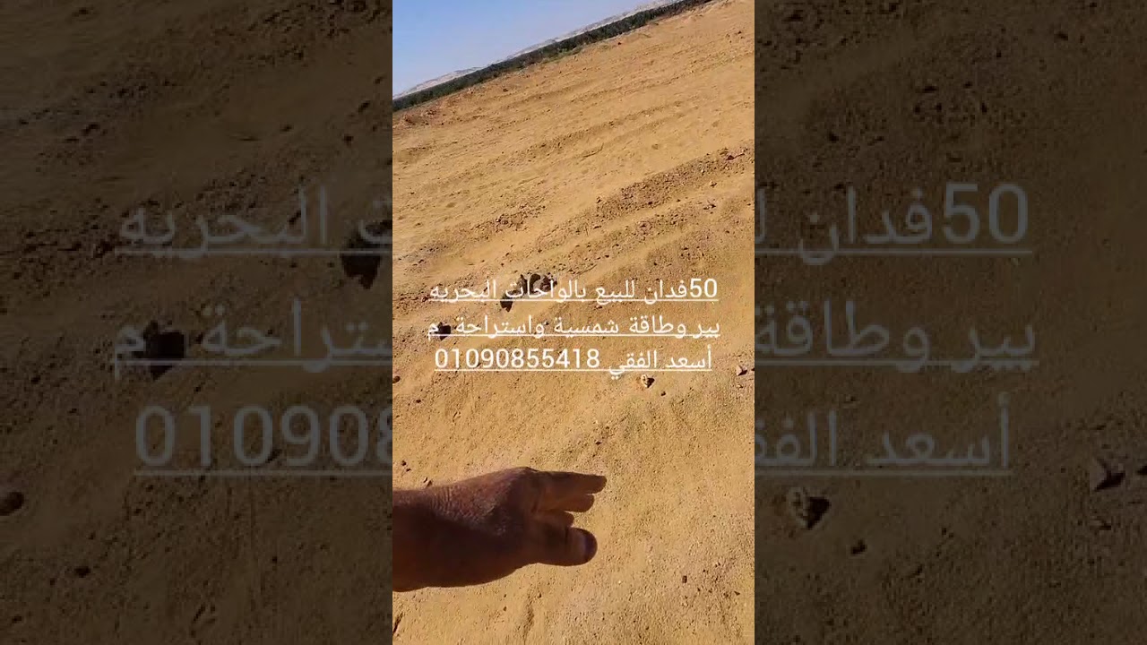 50فدان للبيع بالواحات البحرية  بها بئر وطاقة شمسية واستراحة. شاهد كافة التفاصيل م اسعد  01090855418