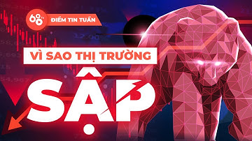 Vì sao thị trường sập? Có phải do cá voi Bitcoin "xả hàng"? | Tin tức Bitcoin