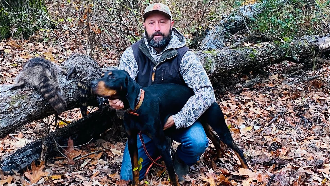 Coon hunting …white river refuge !!!! 2023 YouTube