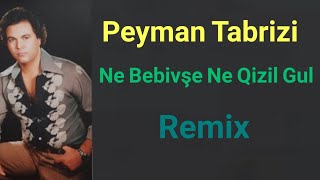 peyman tabrizi _ ne benovşe ne qizil gul remix  پیمان تبریزی نه بنفشه نه قیزیل گول ریمیکس Resimi