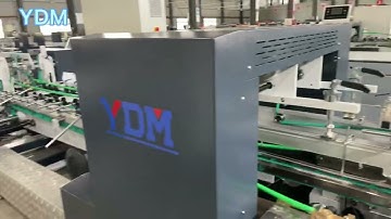 SF envelope courier bag folder gluer