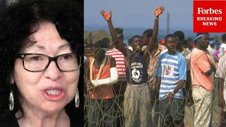 'That's What We're Doing Here, Isn't It?': Sotomayor Asks DOJ Attorney About Haitian Refugee Return