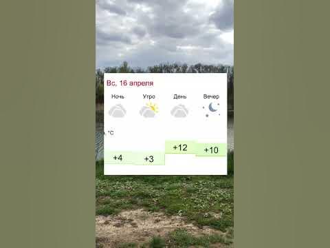 Какая погода ожидает белгородцев на Пасху #shorts #белгород #погода # ...
