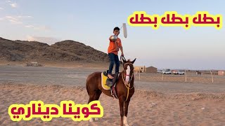 طريقة كوي الخيل👍🏻||حصان جديد فالمربط😍🐎|سباق بين الشباب💪🏼🥇