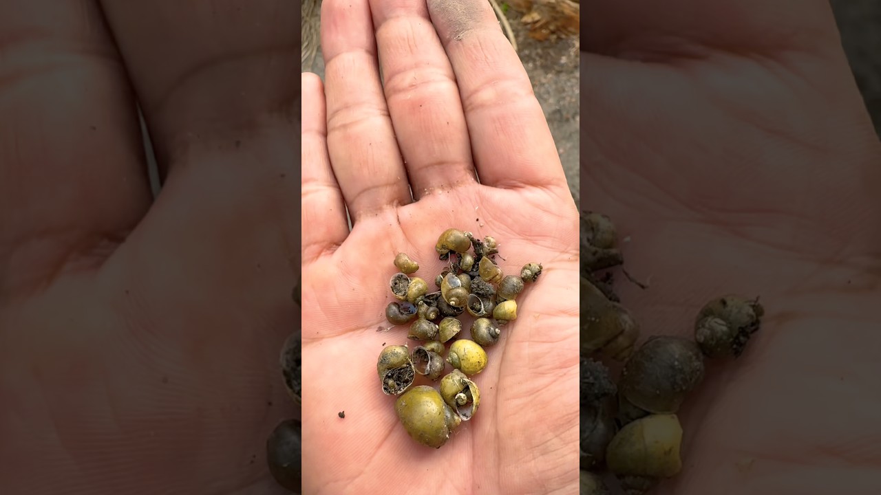 They’re so sad,😭 