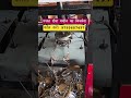 पत्तल दोना मशीन खरीदें। दोना पत्तल मशीन जयपुर। पेपर प्लेट मशीन। Dona Pattal Machine Jaipur