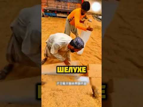 Удивительный способ хранения льда !