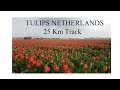 Tulip fields Netherlands 2018 cycling around Keukenhof Garden.